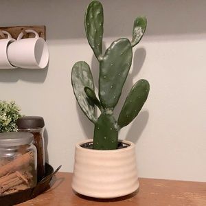 Opalhouse faux cactus plant